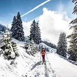 Appartamento In With Mountain Views Châtel