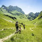 In With Mountain Views